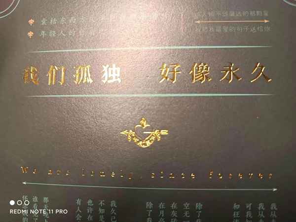 我与清风共明月,皆是人间一过客;愿做人间逍遥客,从此江湖无故人