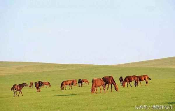 荀子最经典的二十句话_《劝学》完整版