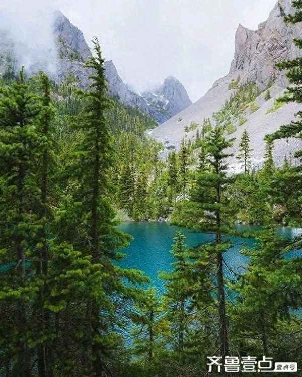 有志者事竟成百二秦关终属楚出处_有志者事竟成百二秦关终属楚出处书法