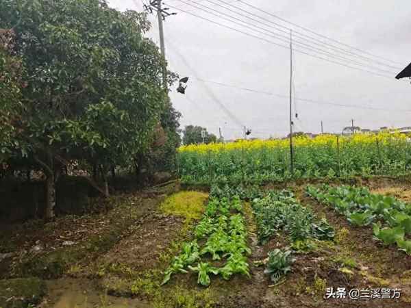 電話傳喚多久不去掛網(wǎng)逃;民警私人電話傳喚我嚴(yán)重嗎