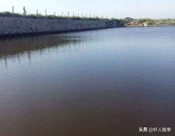 池塘漂浮物怎么处理,池塘漂浮物怎么处理最好