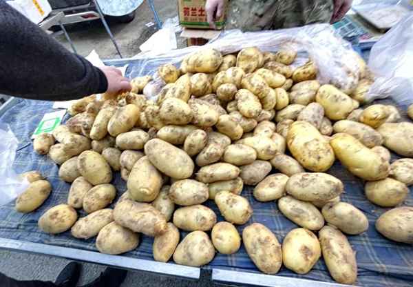 东北早市都有什么,东北早市早餐