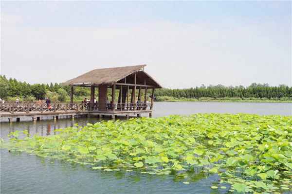 泰州碧桂园附近有什么好玩的_泰州碧桂园周边有什么好玩地方