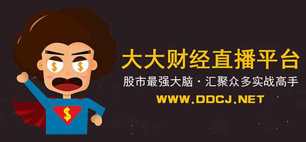 大大财经、大大财经委关于2024年国民经济审查结果报告