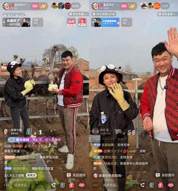 达人财经;财经达人优质创作者