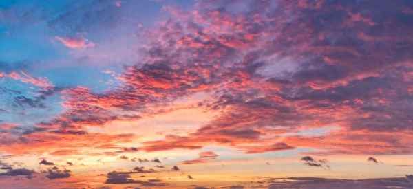 天堂中的锦绣主要内容—天堂中的锦绣主要内容概括