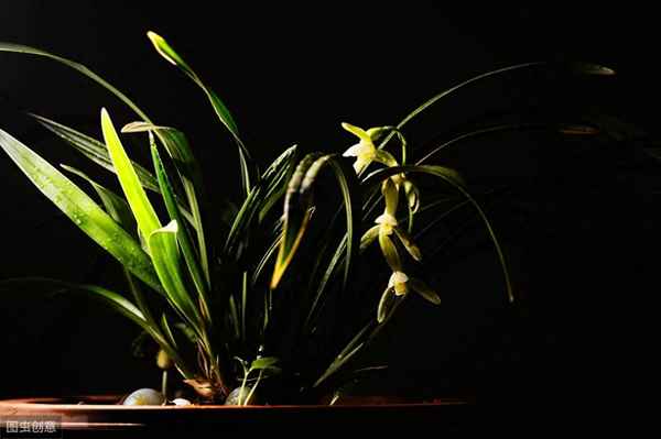 君子慎独不欺暗室出自哪里_君子慎独不欺暗室下一句