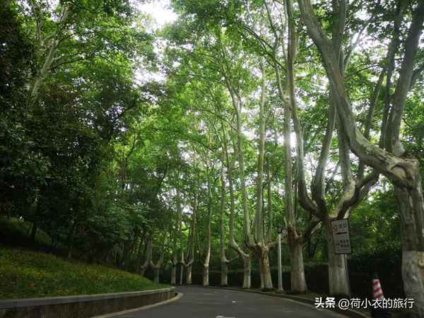 南京東郊紅色旅游景點,南京紅色旅行