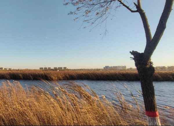 赠别二首(其二),赠别二首其二拼音版