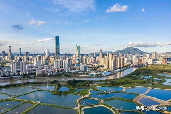 深圳龙华最贵的小区—龙华区最贵的房子