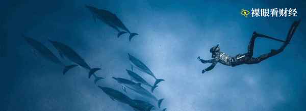 裸眼看财经、慧眼看财经的视频