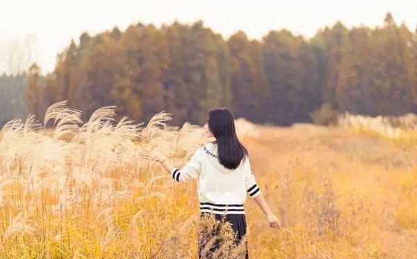 子女不赡养父母怎么办-子女不赡养老人法律怎么处理