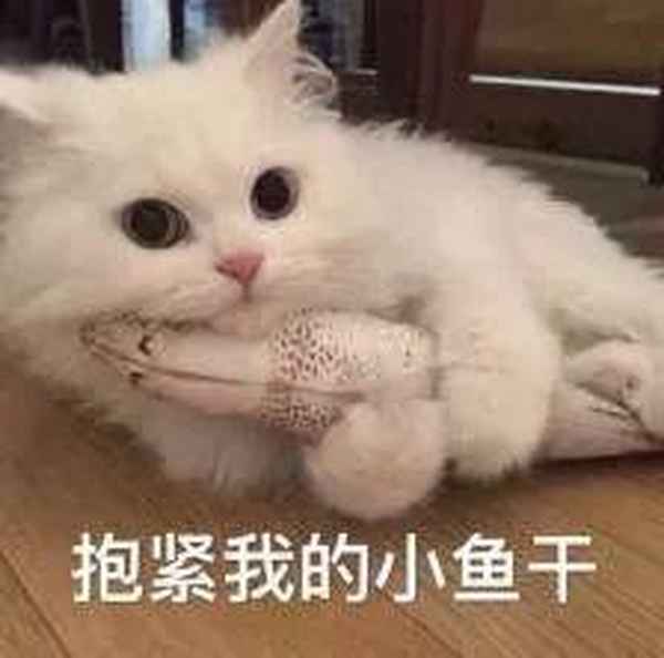 廈門二手房產網—廈門二手房買賣信息