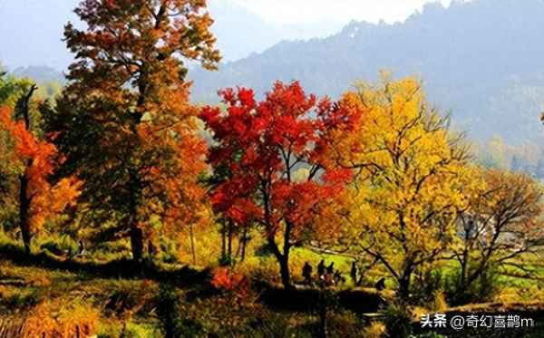 夜晚的景色如何描写、夜晚的景色如何描写作文