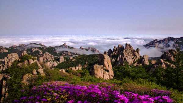 嶗山最經典的是哪個景點_嶗山四個景點哪個最好看