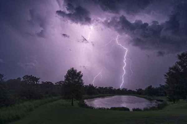 中国焦点新闻网河南频道-中国焦点新闻社