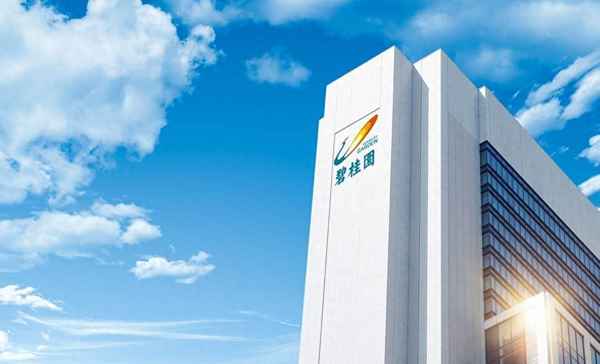 碧桂园被国家接手了吗最新消息(不到24小时,碧桂园终于承认了)