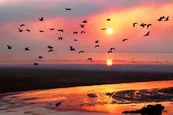 古诗黄鹤楼唐崔颢(古诗黄鹤楼唐崔颢翻译)