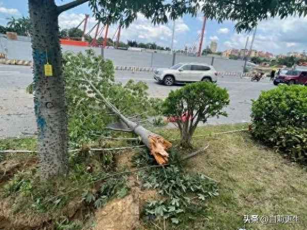 開車的時候絕對不能和男朋友吵架(可以和男朋友開車嗎)
