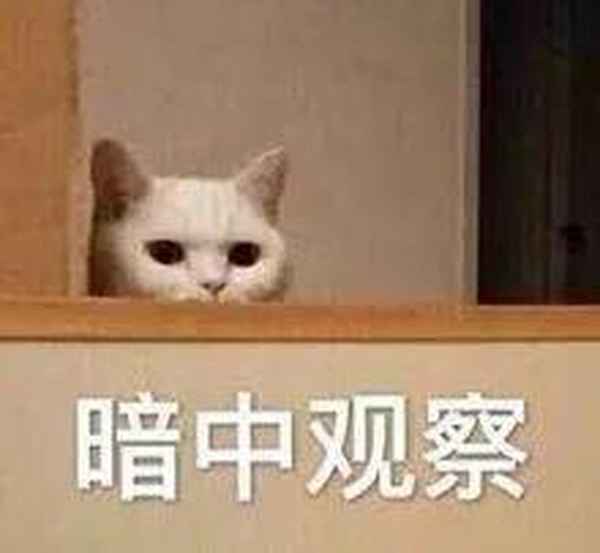 厦门市房产网—厦门市房产网官方网站