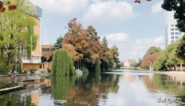 中央财经大学简称、中央财经大学排名