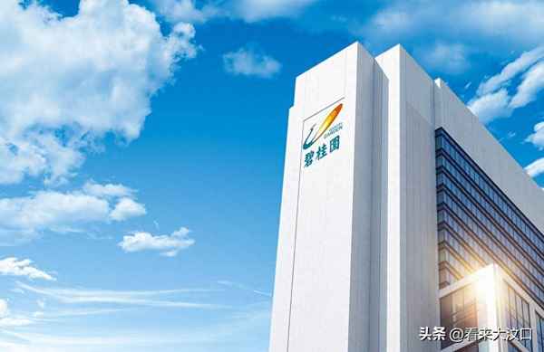 碧桂園楊文杰簡歷;碧桂園楊文杰個人資料