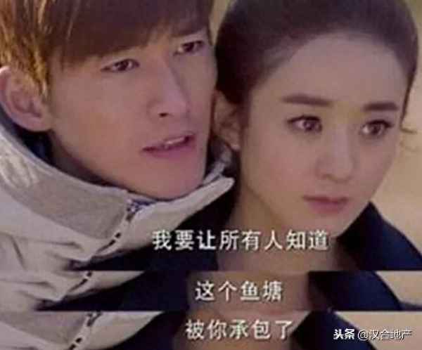 承包魚塘合同怎么寫,農村魚塘承包合同書范本