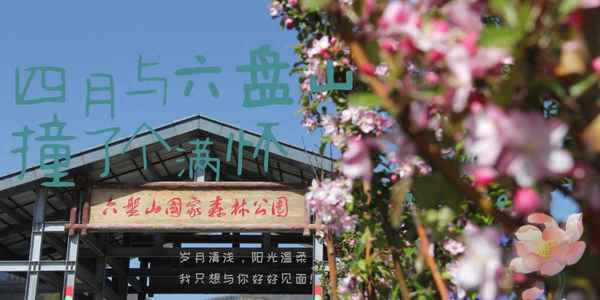 六盤(pán)山森林公園門(mén)票優(yōu)惠政策、六盤(pán)山森林公園門(mén)票優(yōu)惠政策是什么