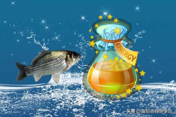 香鯽魚(yú)和鯽魚(yú)哪個(gè)好;香鯽魚(yú)和鯽魚(yú)哪個(gè)好吃