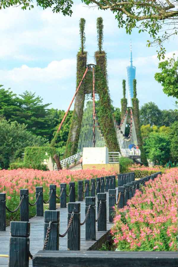 海珠區國家濕地公園門票價格、廣州海珠區的濕地公園在哪里