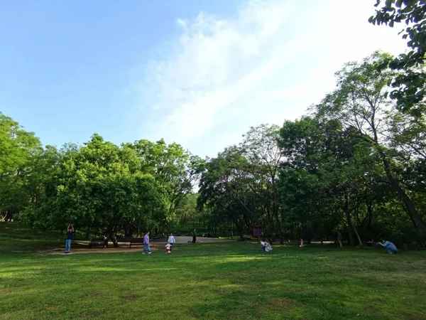 濟南綠地房產_濟南綠地房地產