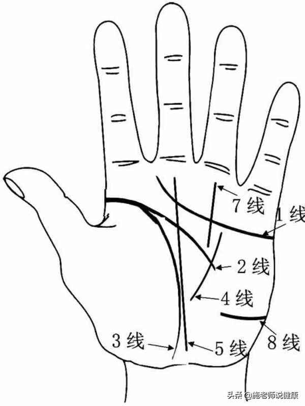 掌紋健康紋、掌紋健康線(xiàn)圖解