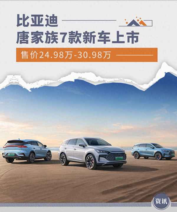 比亞迪純電商務車7座報價和圖片—騰勢d9內飾圖片