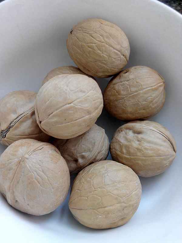 核桃奶的做法豆漿機-核桃牛奶豆漿怎么做