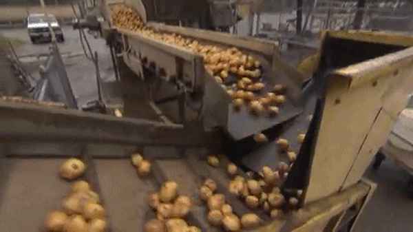 土豆要焯水再炒嗎—土豆需要焯嗎