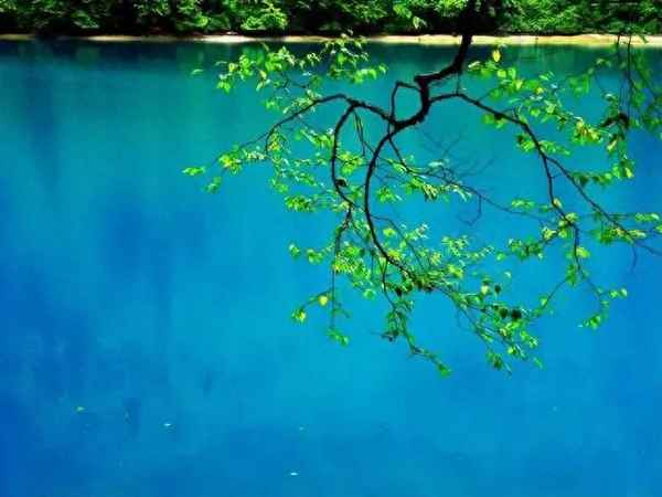 九寨沟长海作文描写—九寨沟长海的神秘之处