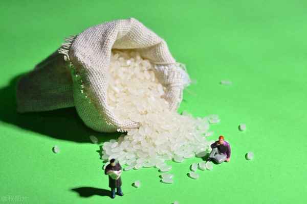 社區安全生產調研報告范文;社區安全問題及防范調查報告