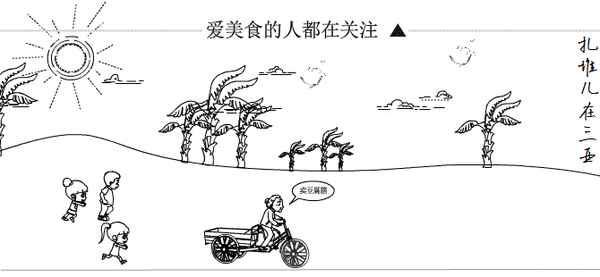 三亞夢幻水上樂園介紹(三亞夢幻水上樂園介紹資料)