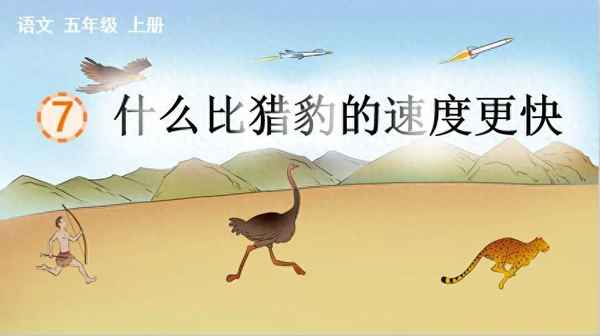 什么比獵豹的速度更快的課堂筆記,7什么比獵豹的速度更快的課堂筆記