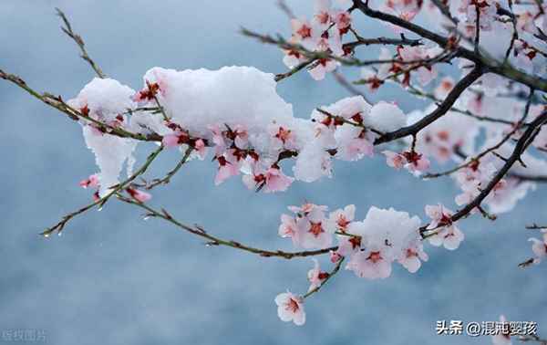 岑参最著名的三首诗,岑参最著名的三首诗小学