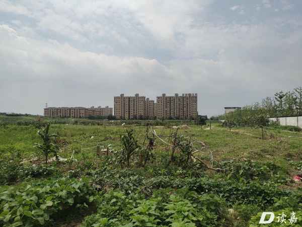 嘉興秀洲房產_嘉興市秀洲區房價2020最新價格
