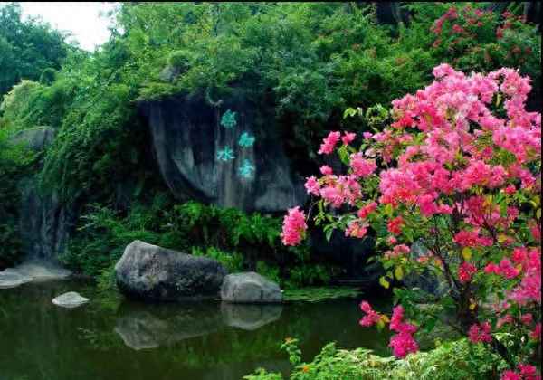 廈門植物園導覽圖(廈門植物園的路線圖)