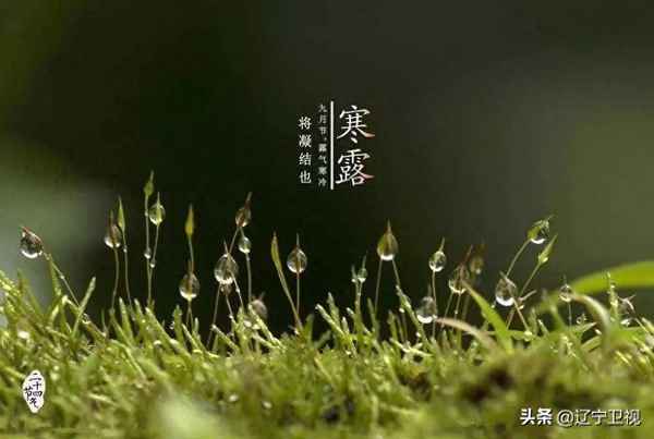登高方識遠,天地納于心(登高方識遠的下一句是什么)