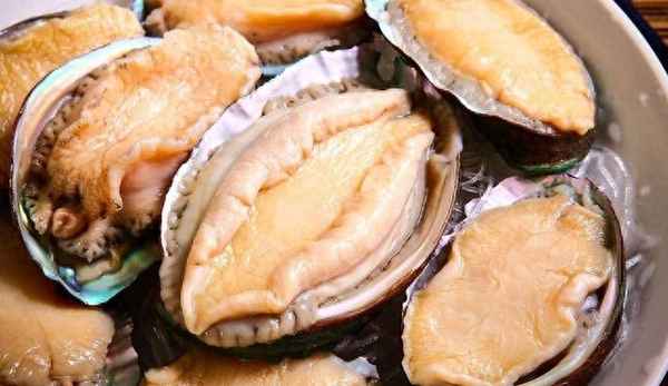 鮑魚十大經典吃法(鮑魚的食用方法)