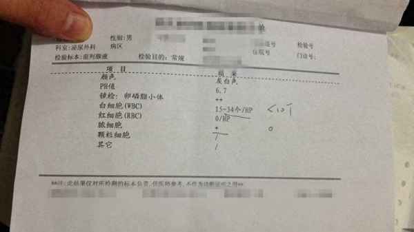 支原体报告单怎么看;支原体报告单图对照表