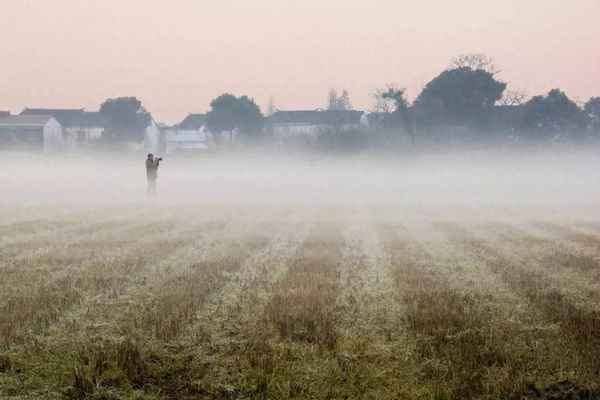寒夜客来茶当酒,竹炉汤沸火初红,寒夜客来茶当酒,竹炉汤沸火初红是什么生肖