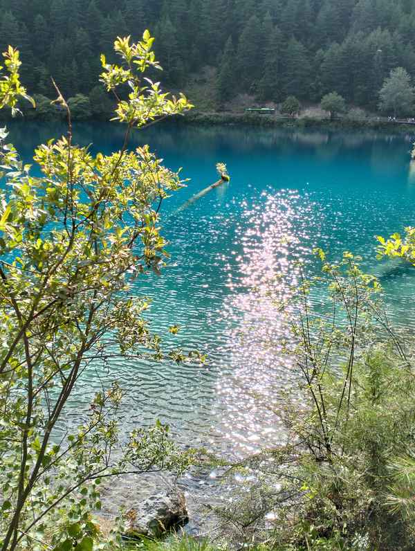 九寨沟的三大特点_九寨沟的三大特点是什么