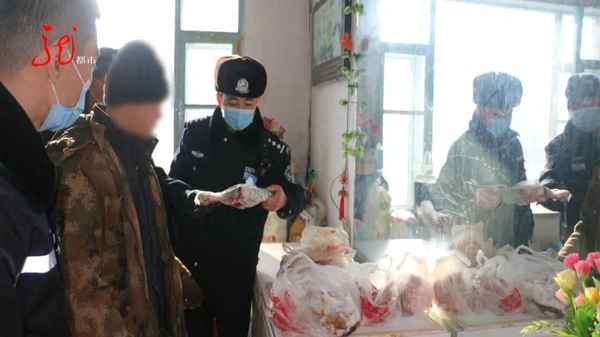 被猎狗围殴的野猪、巨型野猪大战猎狗