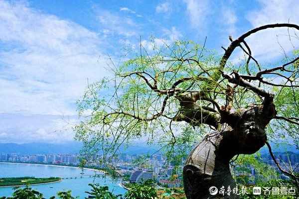 三亞鹿回頭公園簡介(三亞鹿回頭公園營業時間)