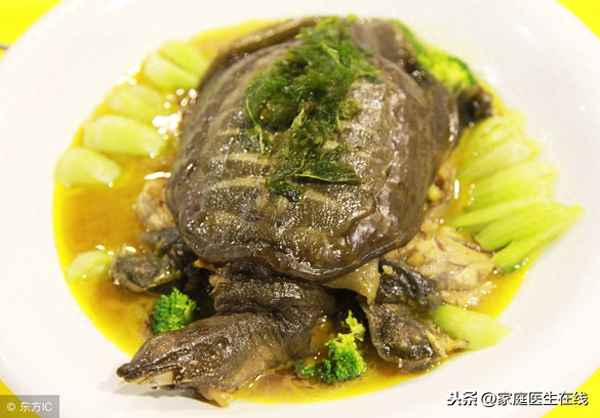 甲魚(yú)湯的功效與作用及營(yíng)養價(jià)值_甲魚(yú)湯的功效與作用 吃對了對健康有益